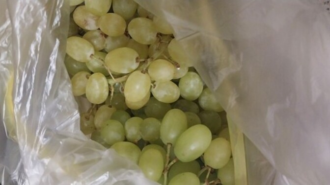 Siyah uzum mi yesil uzum mu 🍇?