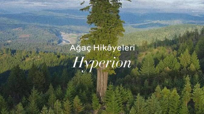 Bu soruya herkes bir tane ilginç bilgi bırakabilir mi?