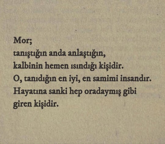 Müdür bey ile otururken bana senin de morun var mı dedi görseli gösterdi, anlam veremedim?