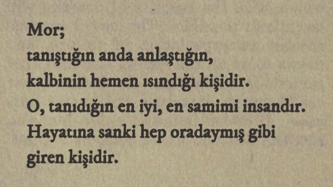 Müdür bey ile otururken bana senin de morun var mı dedi görseli gösterdi, anlam veremedim?