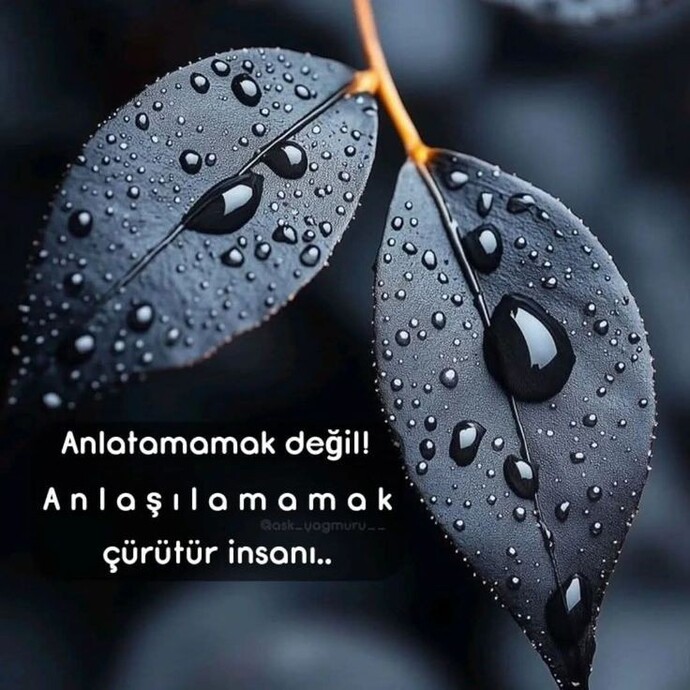 Anlaşıldınız mı sorununuzu anlatırken hiç?