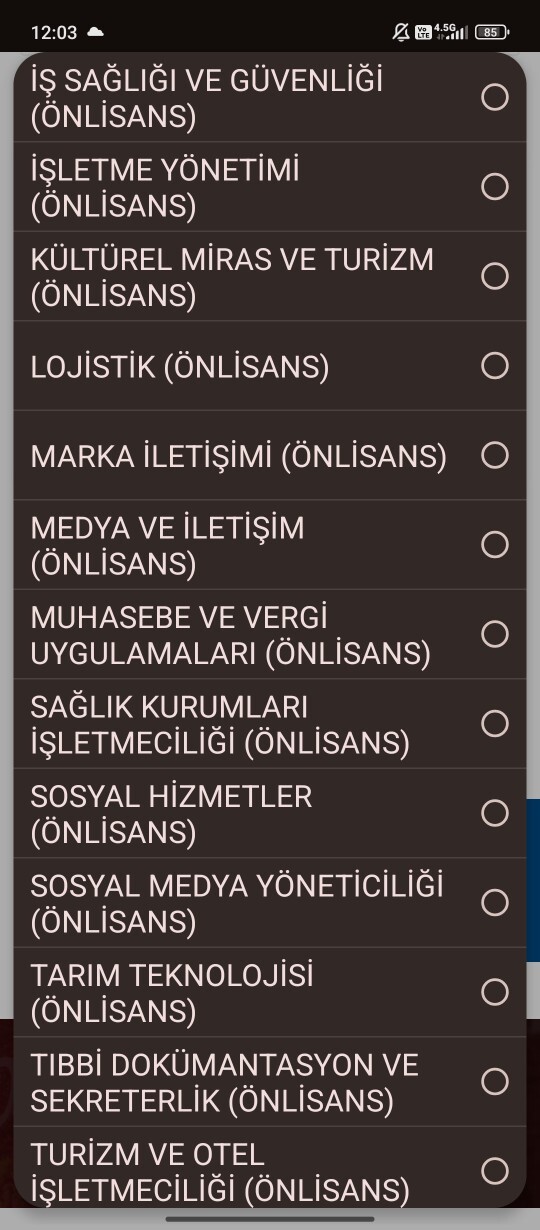 2. Üniversitem için açıktan hangi bölümü okumalıyım?