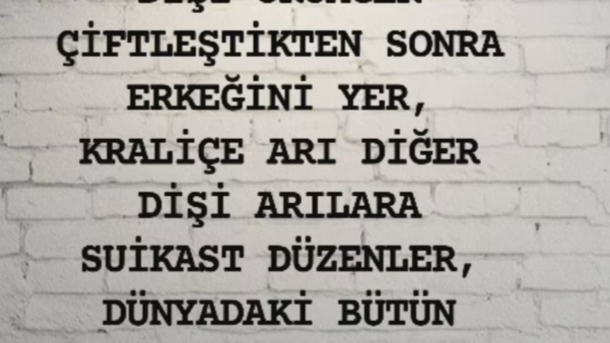 Psikopat yönümüzü göstermeyince psikopat yön görüyoruz 🤷💅Sana uyan ne Sahiplenicilik mi kıskançlık mı?