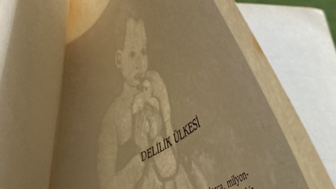 Hiç delirdiğinizi düşündünüz mü?
