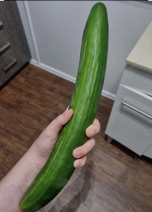 Ya şey bu biraz fazla büyük değil mi, benim algımda mı fazla büyük duruyor yoksa :D?