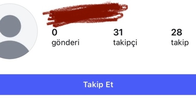 Sizce bu hesap fake mi?