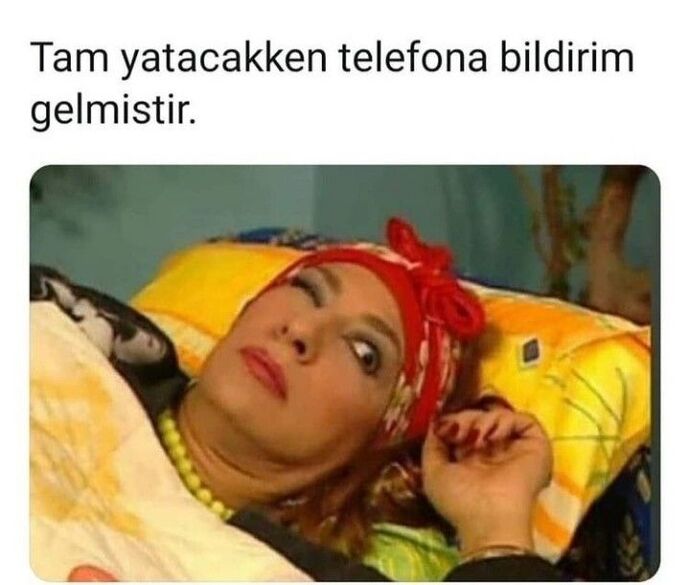 Tam uyurken bildirim gelse ne yaparsınız?