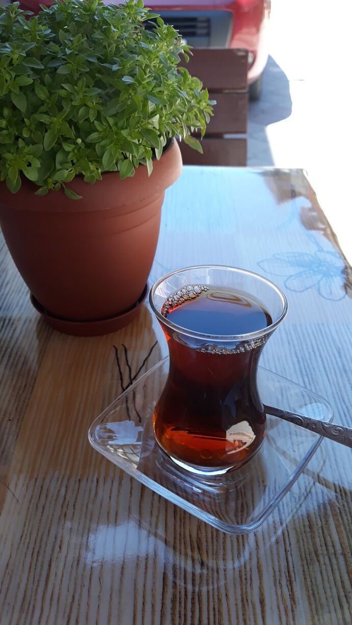 Siz hiç gece uyanıp güneşin doğmasını beklediniz mi?