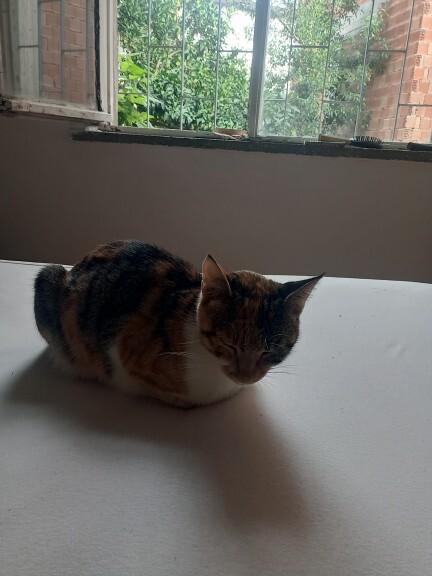 Günaydıın güne nasıl başladınızz?