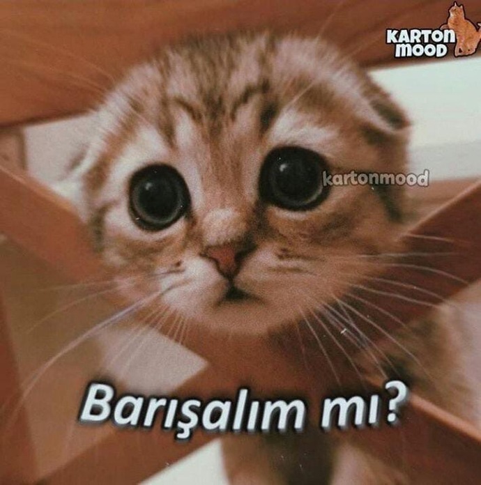 Sizce ilişkilerimizde kavgadan haklı çıkmak mı mutlu çıkmak mı önemlidir?