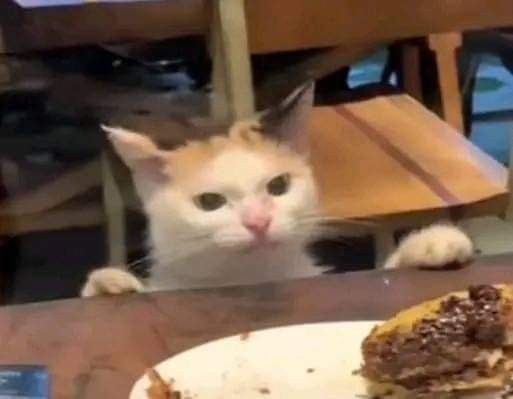 Hayatınızın arka fonunda hangi şarkı çalıyor söyleyeyim mi?