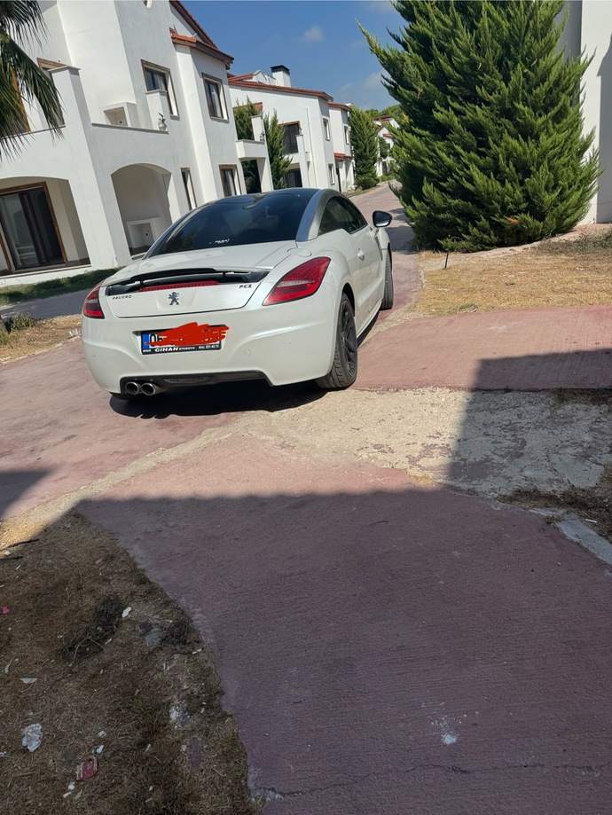 Arabamın kalçası çok seksi değil mi?