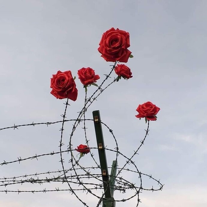 Kabul edilemeyecek şeyler hakkında dürüst olan birini yine de sever misiniz?