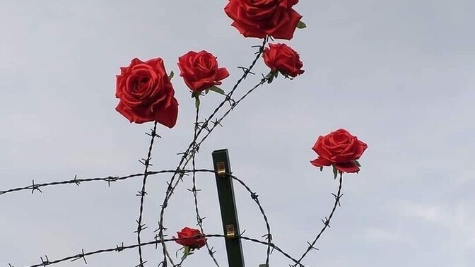 Kabul edilemeyecek şeyler hakkında dürüst olan birini yine de sever misiniz?