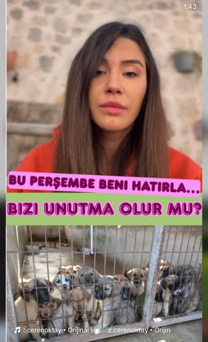 Toplumsal olayların birine bile duyarsız kalmak diğerlerininde artmasına sebep olmuyor mu?