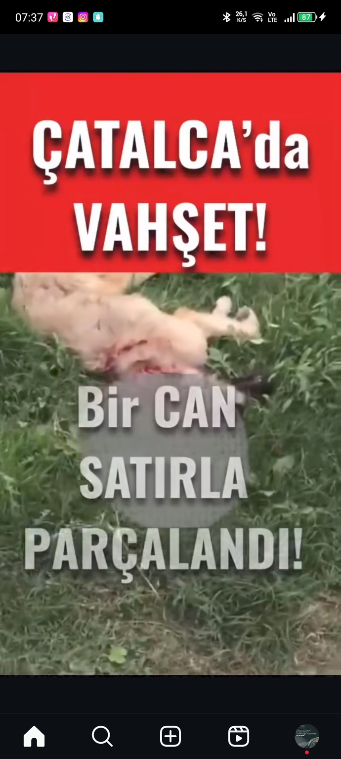 Toplumsal olayların birine bile duyarsız kalmak diğerlerininde artmasına sebep olmuyor mu?