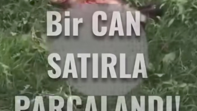 Toplumsal olayların birine bile duyarsız kalmak diğerlerininde artmasına sebep olmuyor mu?