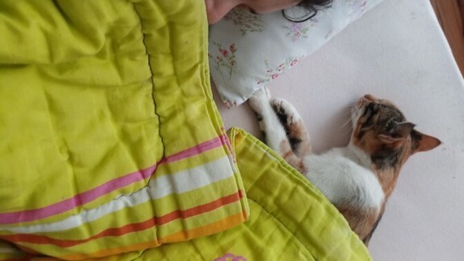 Uyanabildiniz miiii?
