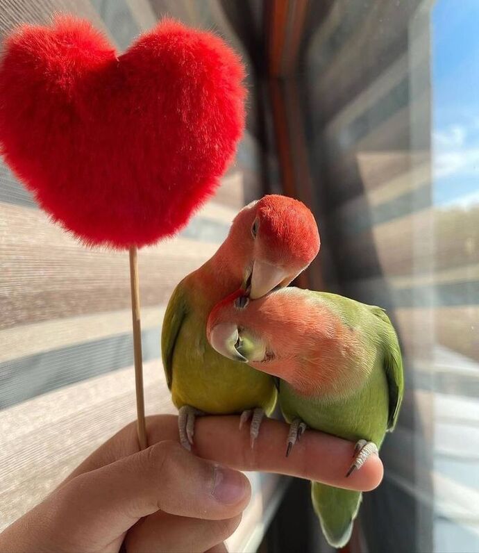 Hayatınızda özel birisi var mı?