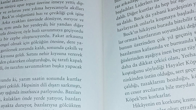Ayda ne kadar kitap okuuprsunuz?