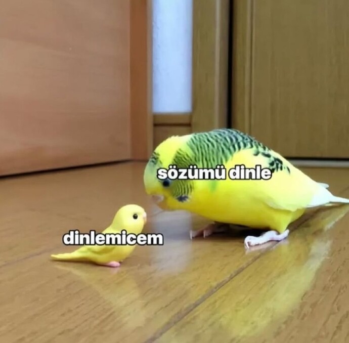 Size karşı küfürlü konuşan biri hayatınızda barınmaya devam edebilir mi?