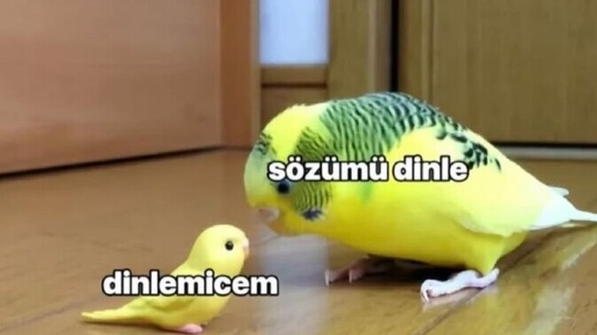 Size karşı küfürlü konuşan biri hayatınızda barınmaya devam edebilir mi?
