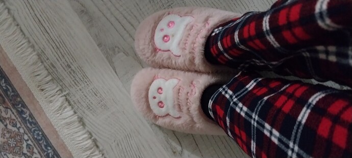 Pelus terlik giymeye basladik miii😀?