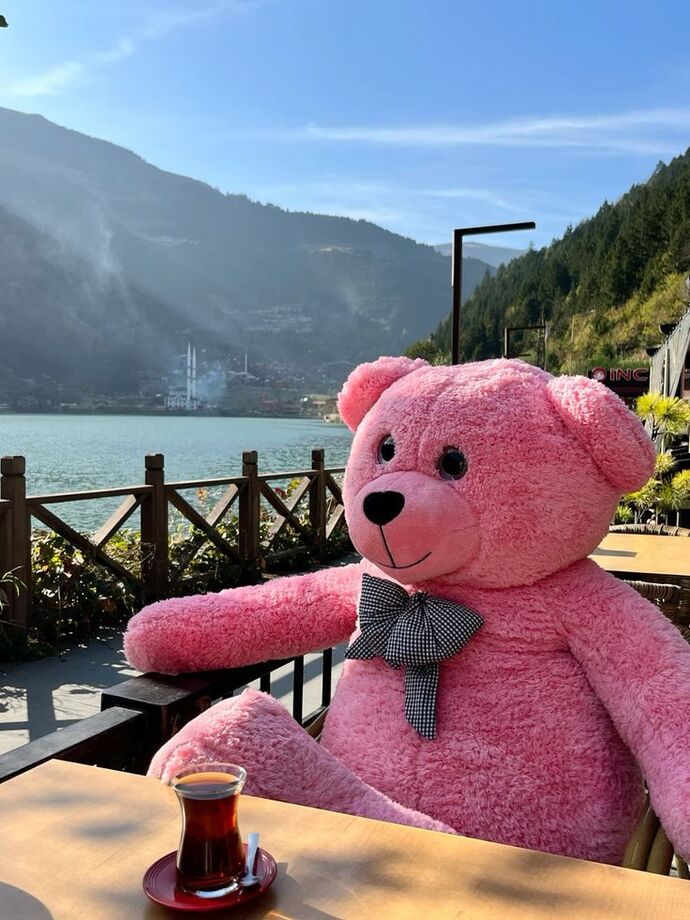 Tanıştırayım enişteniz ile birlikte çay keyfi sizde eşlik eder misiniz 😜?
