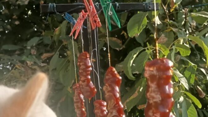 Kızlar koşun, cevizli sucuk yaptım nasıl olmuş?