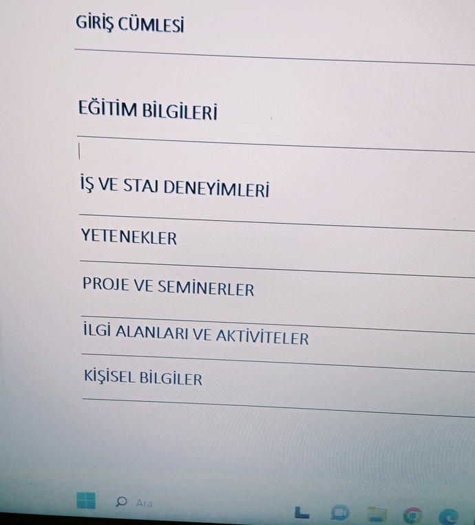 Staj için cv hazırlıyorum bu alt başlıklar yeterli mi?
