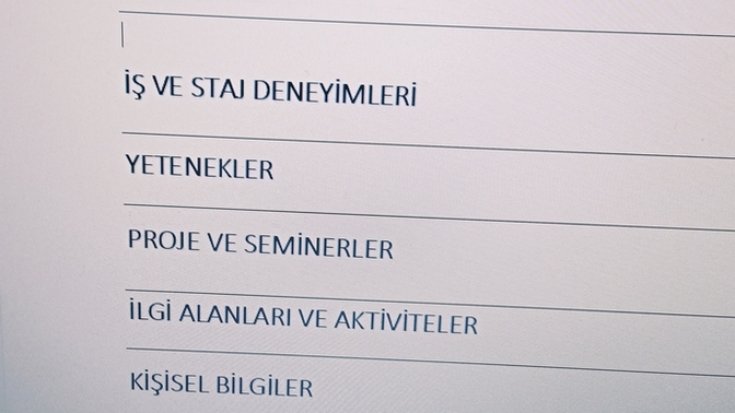 Staj için cv hazırlıyorum bu alt başlıklar yeterli mi?