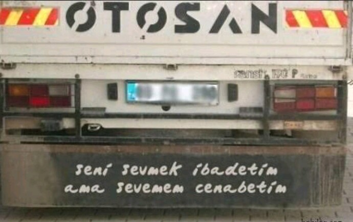 Kamyonun olsaydı arkasına ne yazardın🙂?