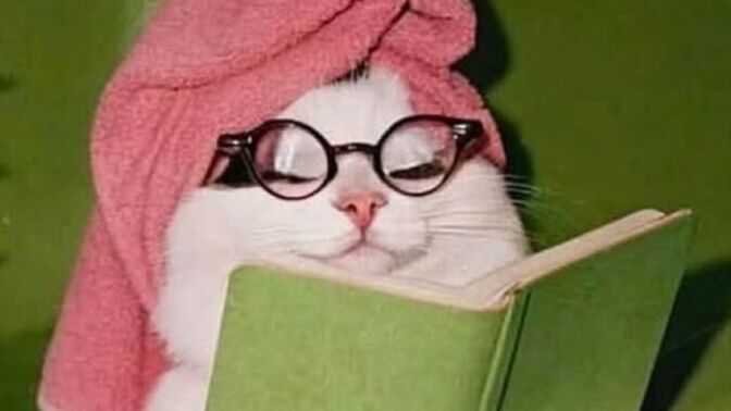 Yatıcam ben bir şey diyonuz mu?