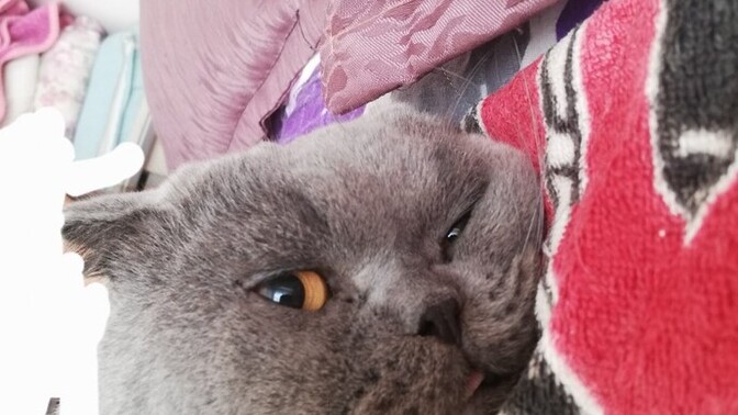 Oğlum bir kaç gün önce sünnet oldu, geçmiş olsun dediniz mi ablaları/abileri?