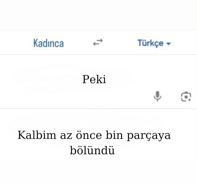 Kadın/Erkek dilinden anlar mısınız?