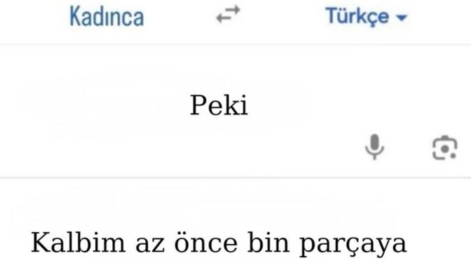 Kadın/Erkek dilinden anlar mısınız?