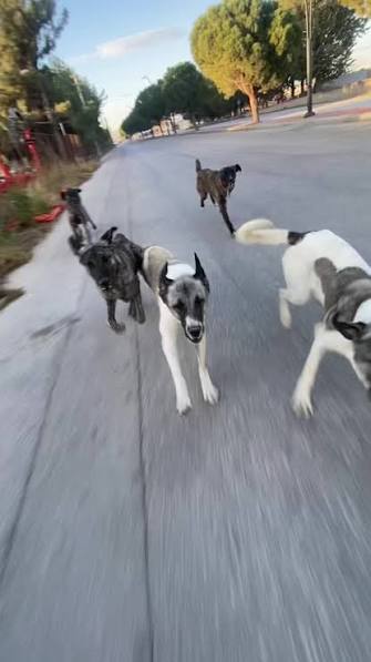 Peşinizde koşan var mı?