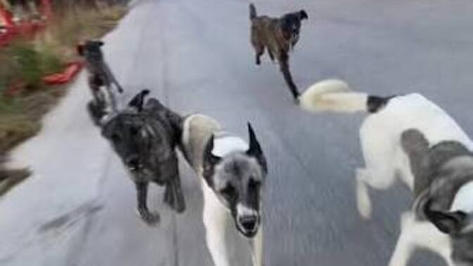 Peşinizde koşan var mı?