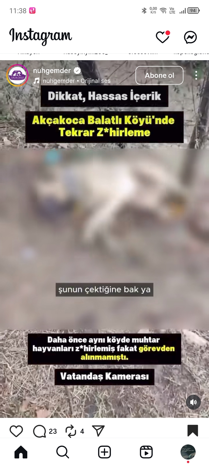 İşine gelince Müslümanım diye övünenler niye hayvan zu. lmüne susuyor?