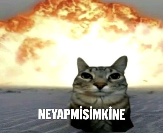 Hiç buz dolabında bir şey unuttunuz mu?
