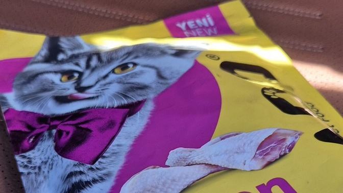 Kimler yanında kedi maması taşıyor?