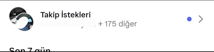 Instagram'da istekleri kabul ediyor musunuz?