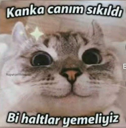 Aşk hayatınızda hareket olsun diye huzursuzluk çıkarır mısınız?