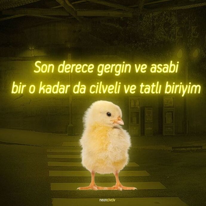 Bendeniz