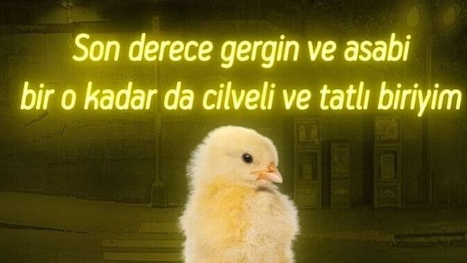 Son zamanlarda çok içime kapandım çevremde kimseyi istemiyorum. Böyle bir dönemden geçen oldu mu?