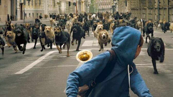 Sizi hiç köpek kovaladı mı?