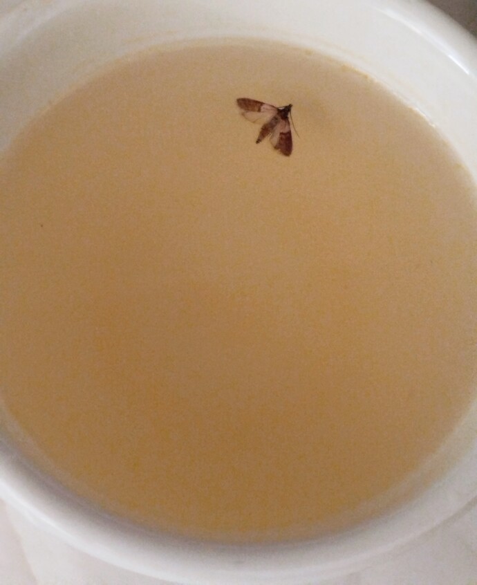 güvendiğim dağlara karlar mı yağdı, insan sevdiğine böyle yapar mı he