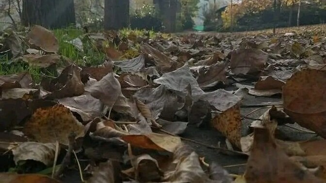 Yüreğiniz hangi mevsimde?