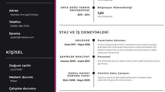 Hayatınızda hiç CV hazırladınız mı?