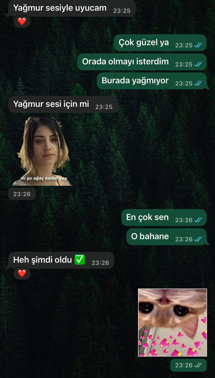Arkadaş mıyız flört mü ben bilmiyorum sizce?
